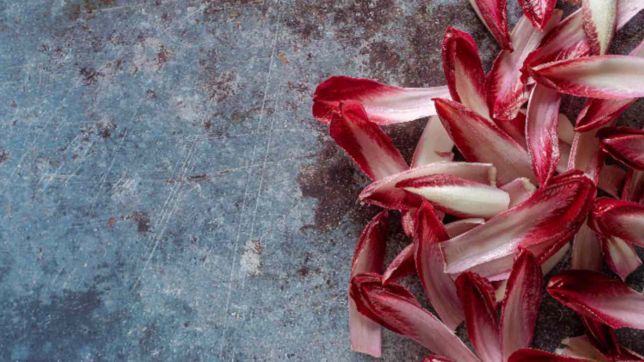 radicchio al forno