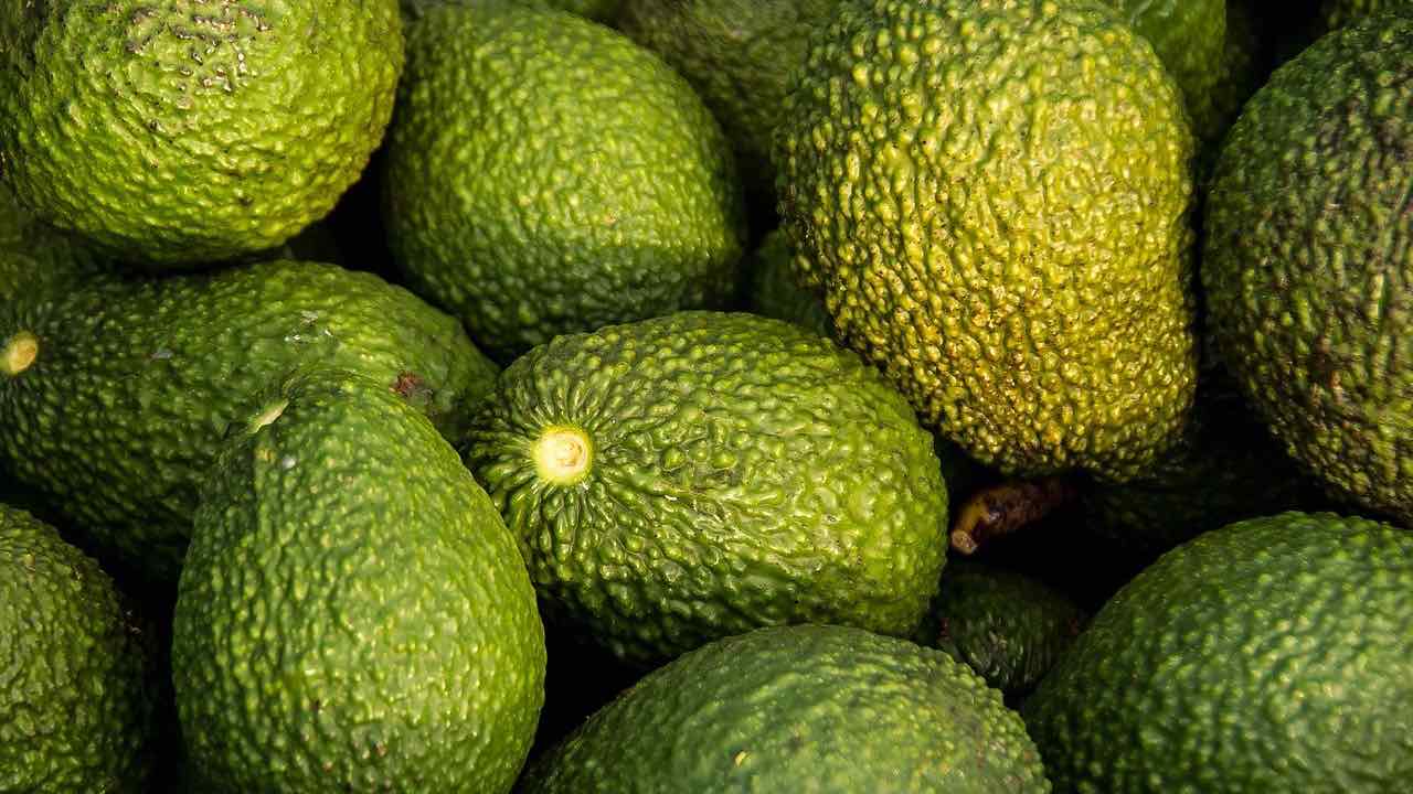 avocado benefici cuore