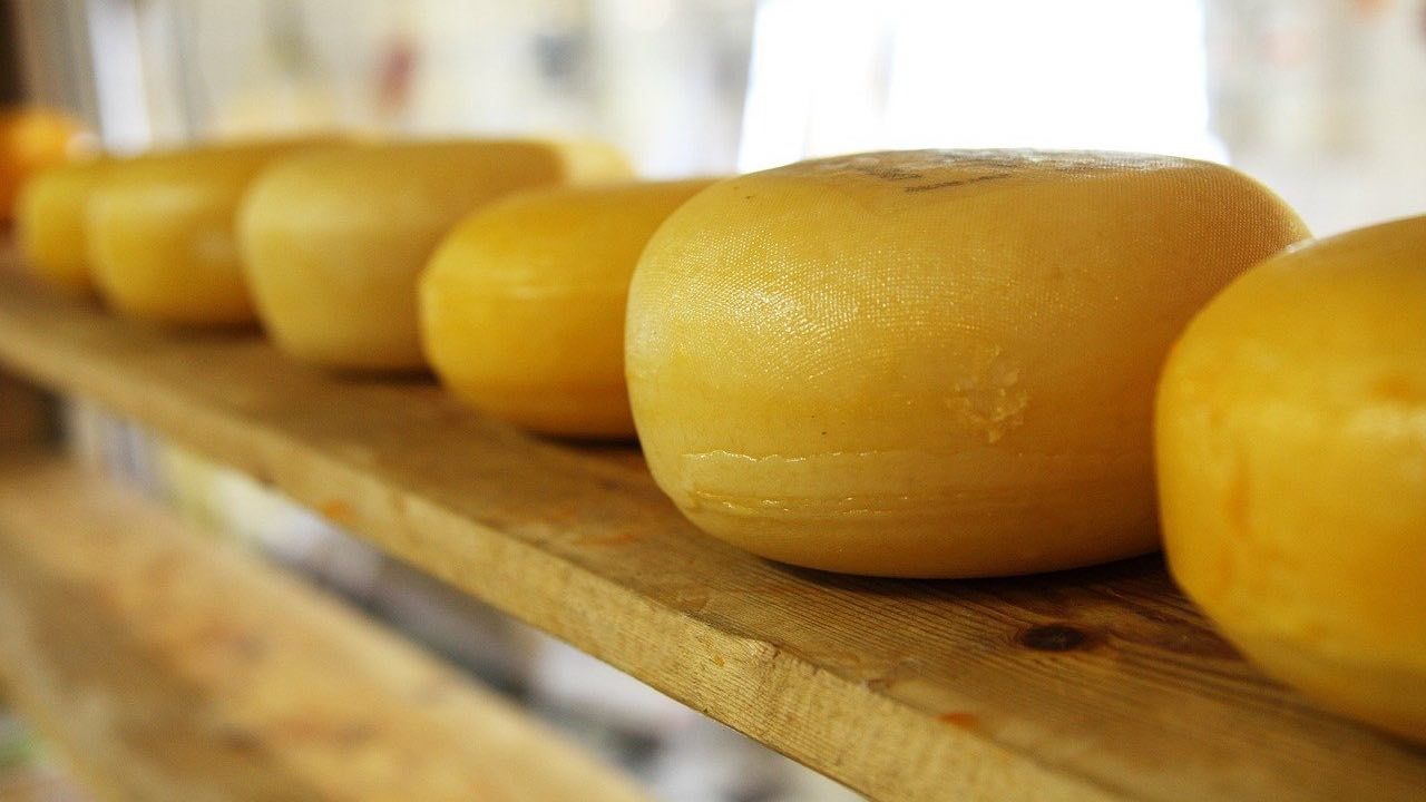 colesterolo quantità formaggio