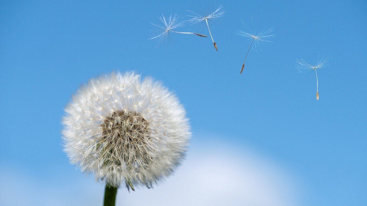 combattere allergie primavera