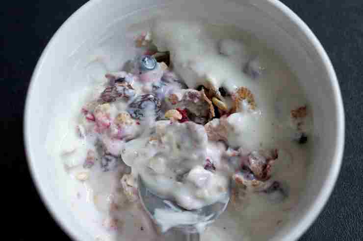 Yogurt mix