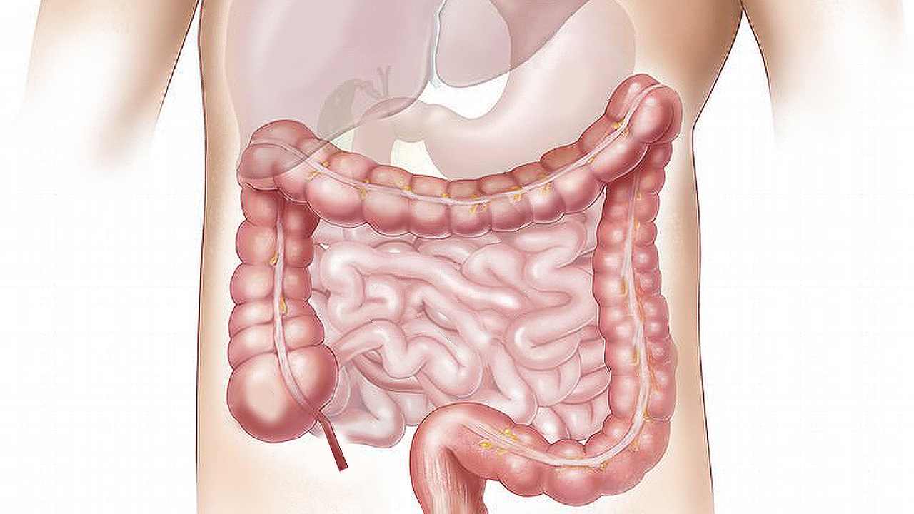 bibite dietetiche intestino