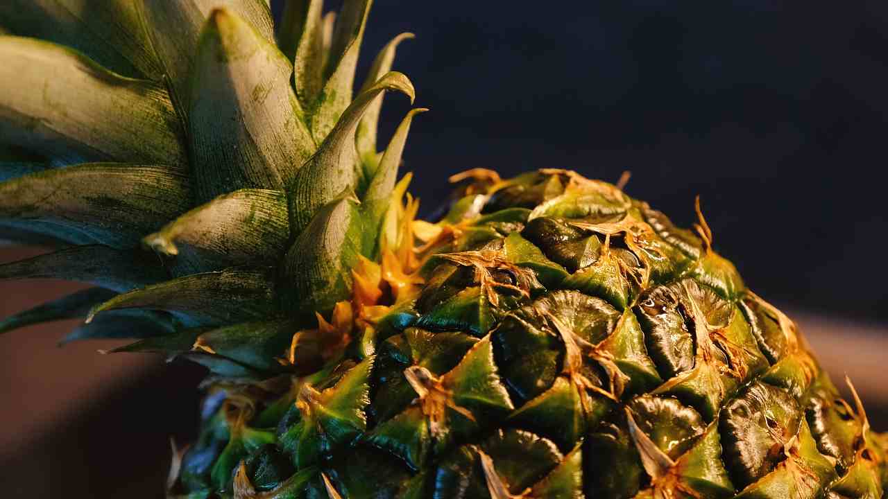 ananas tutti i giorni