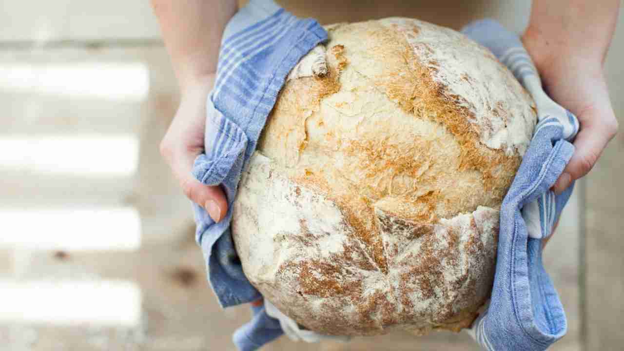 Ricetta pane senza farina