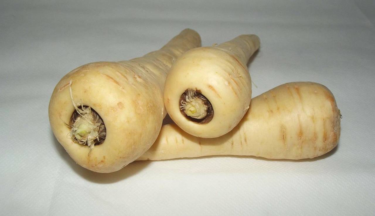 tuberi digestione colesterolo