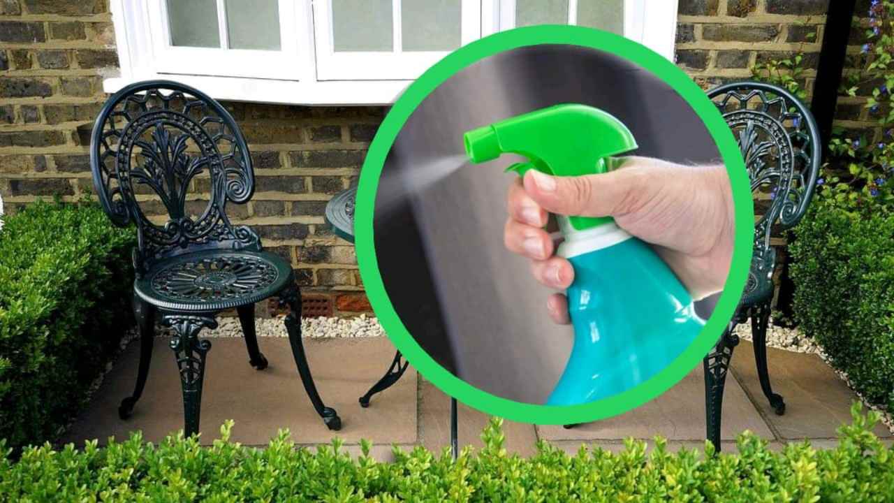 La Crema Sgrassante Fatta In Casa Per Pulire Tavolo E Sedie In Plastica