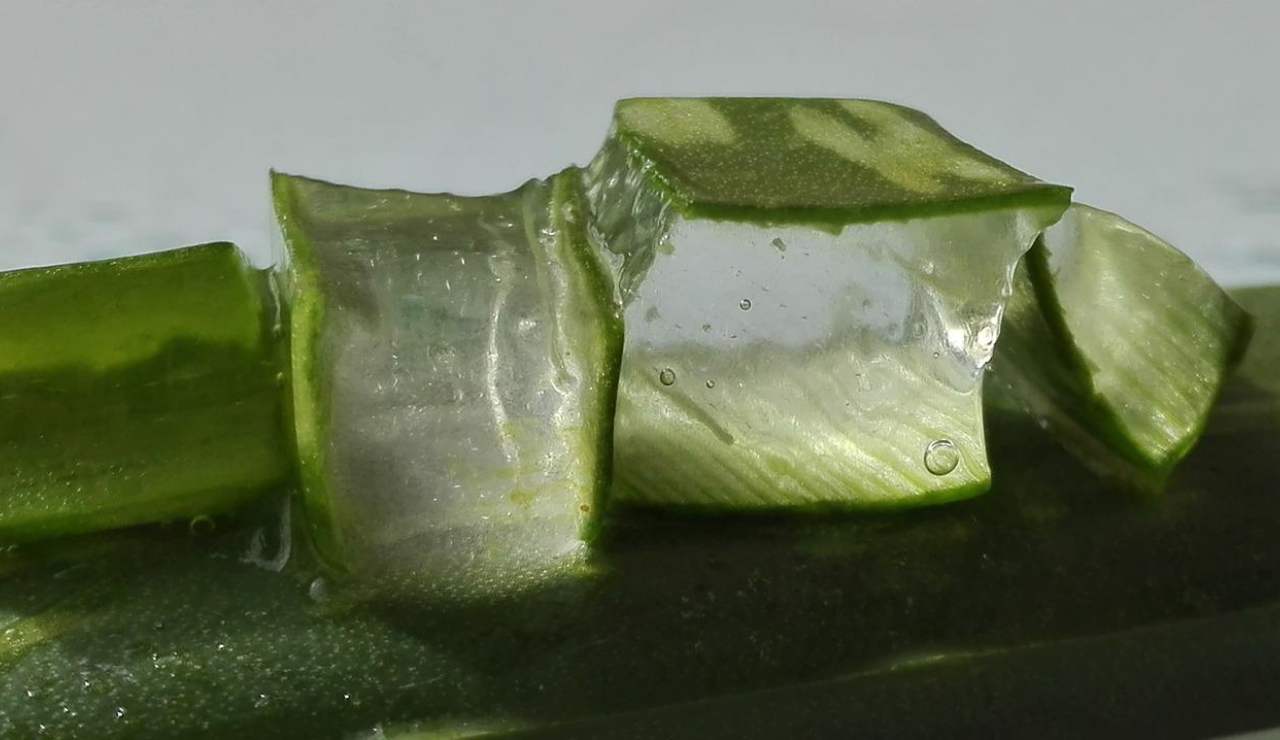 aloe vera capelli