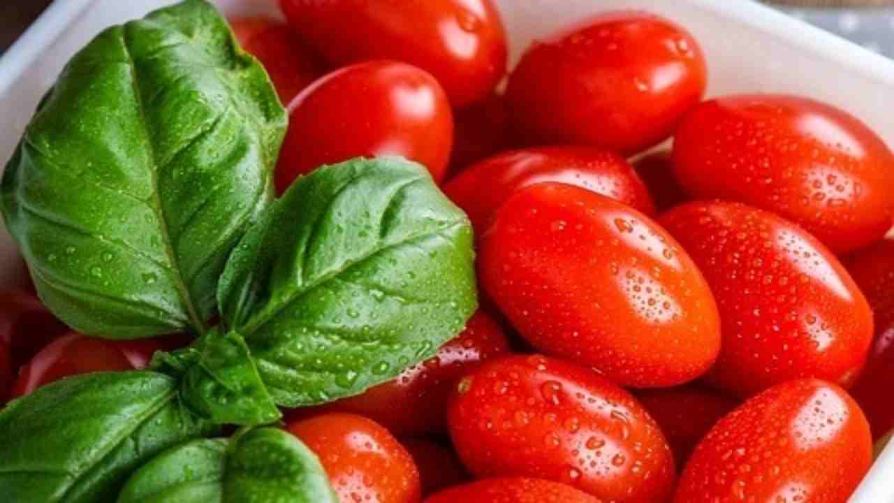 basilico e pomodoro fanno male controindicazioni