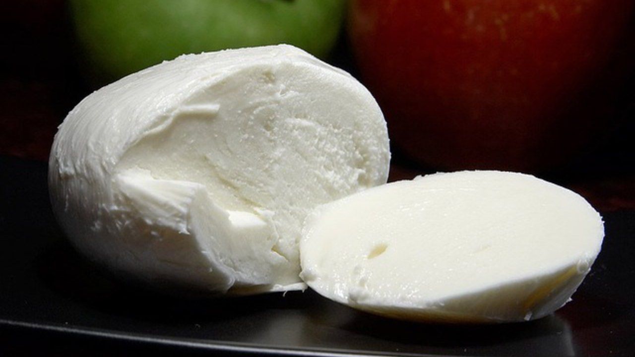 migliore mozzarella di bufala