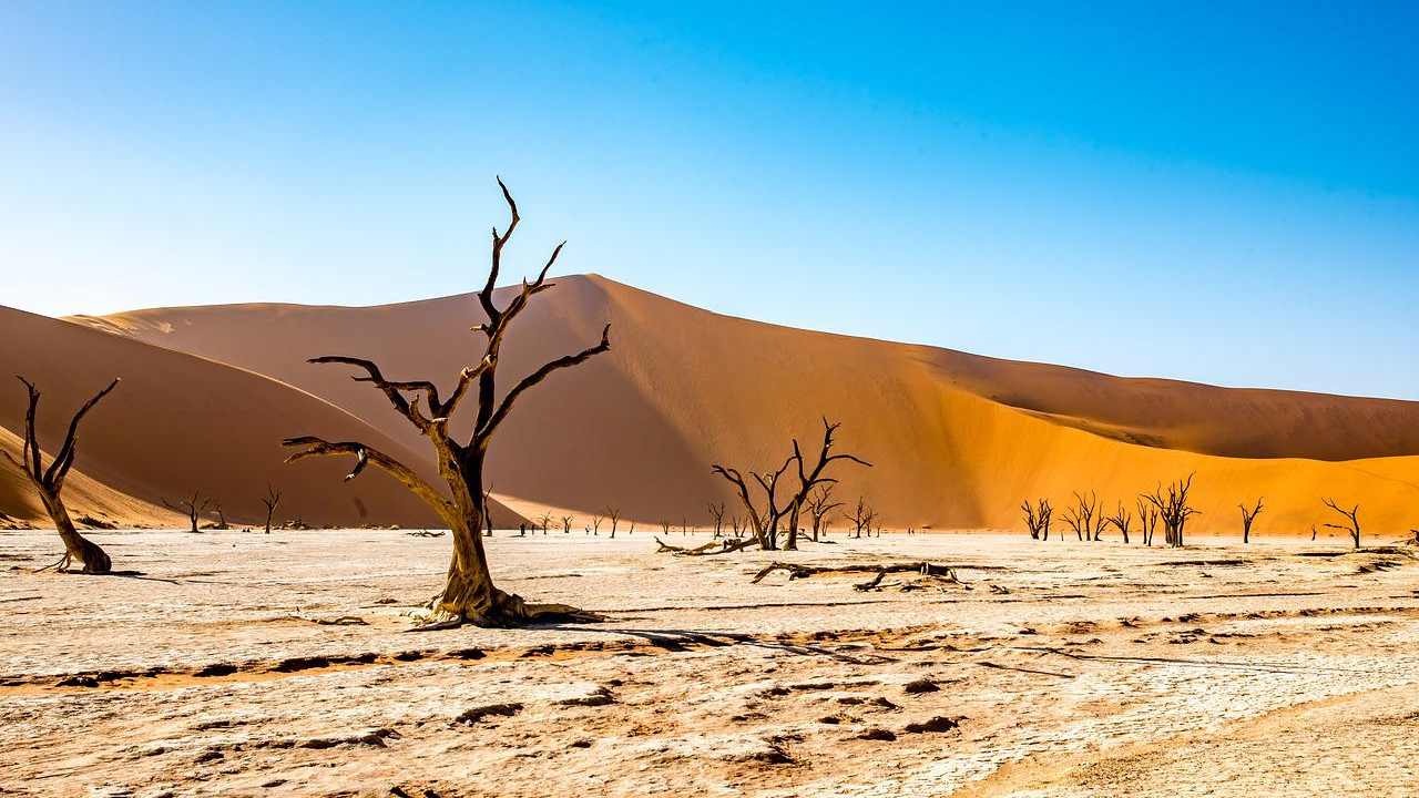 Innaffiare le piante senza sprechi