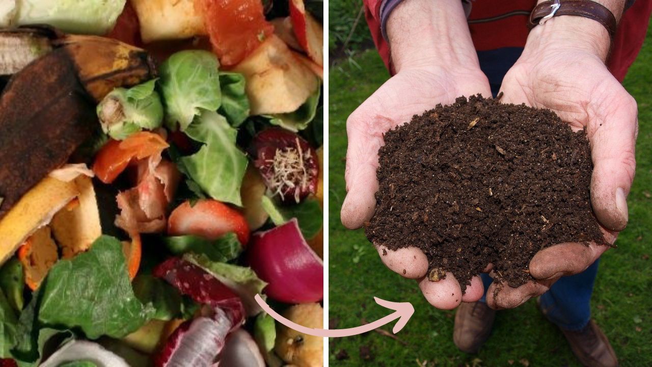 creare compost rifiuti organici