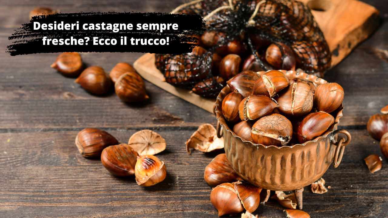 castagne sempre fresche