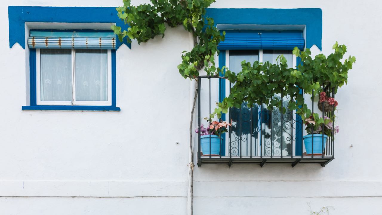 piante autunnali per balcone