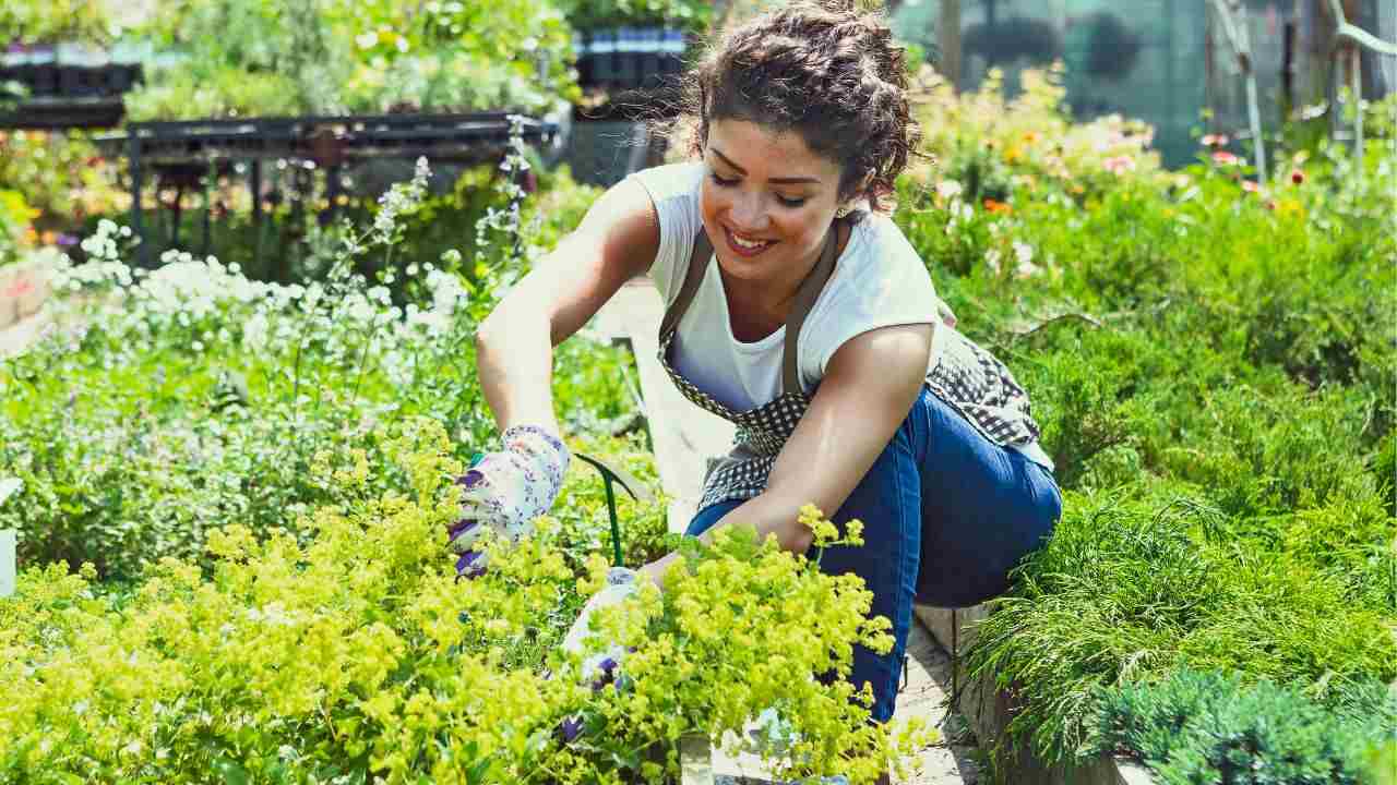 trucchi di giardinaggio orto idee creative fai da te