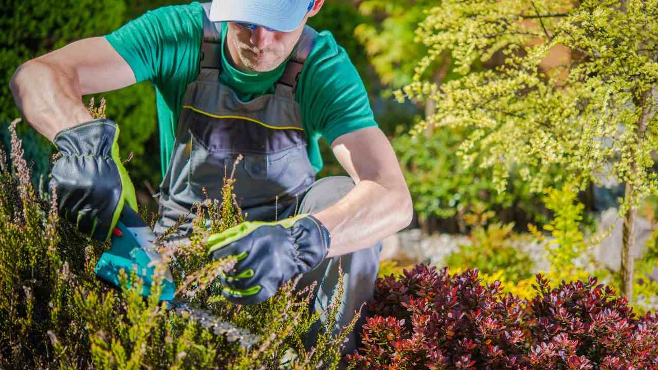 lavori giardino novembre