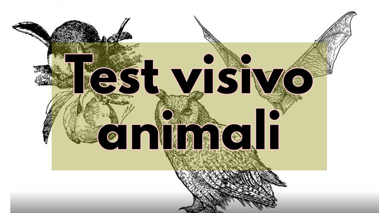 test visivo animali notturni