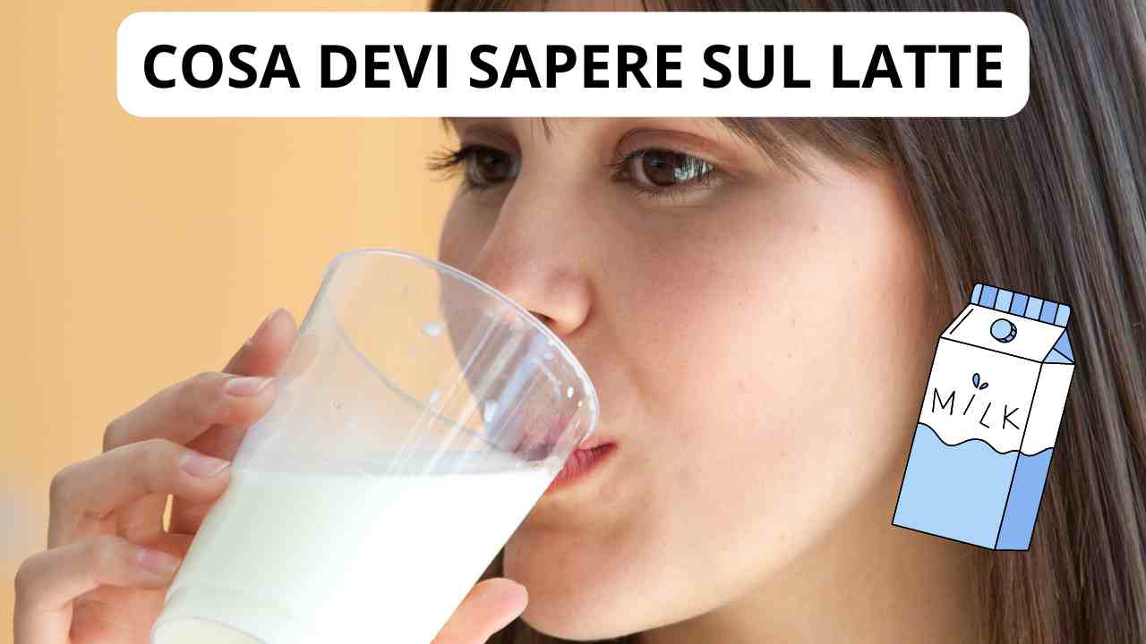 Bere Latte Fa Bene O Male La Risposta Non è Per Niente Scontata 3486