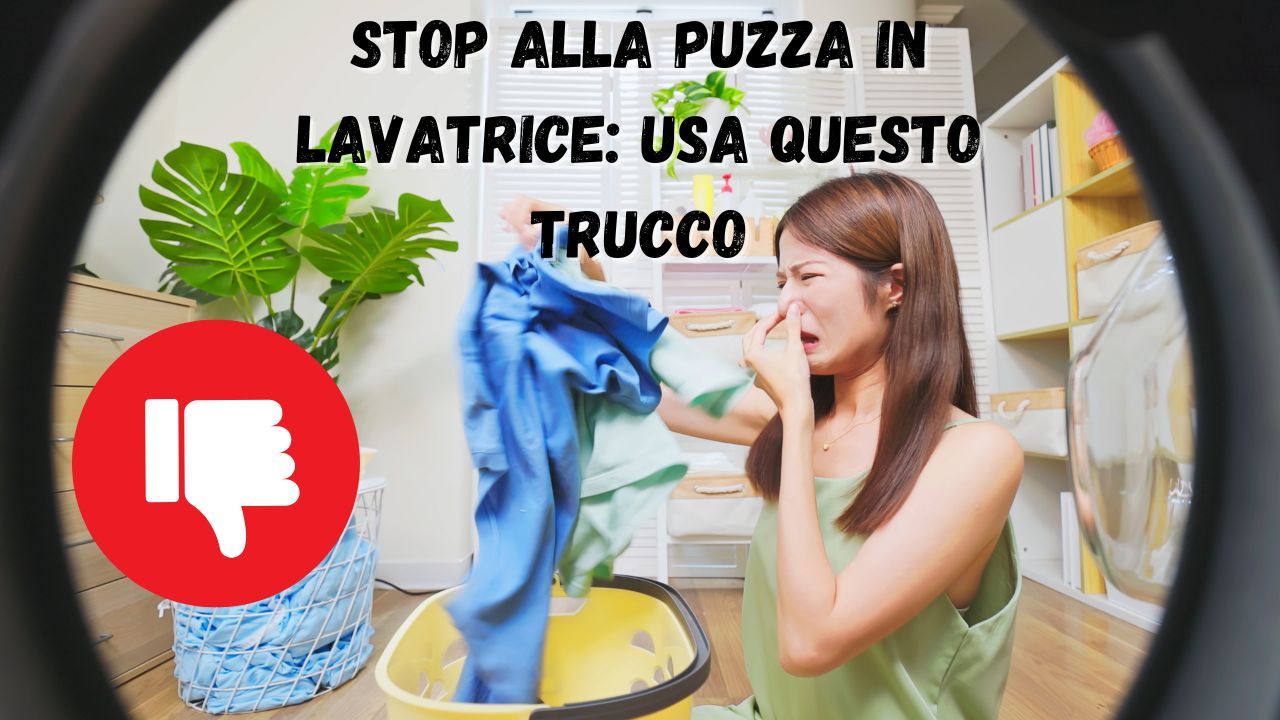 puzza lavatrice soluzione