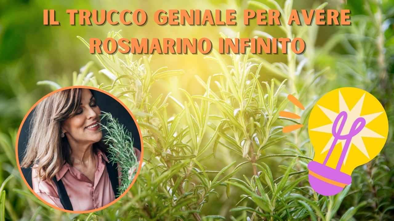 moltiplicare rosmarino