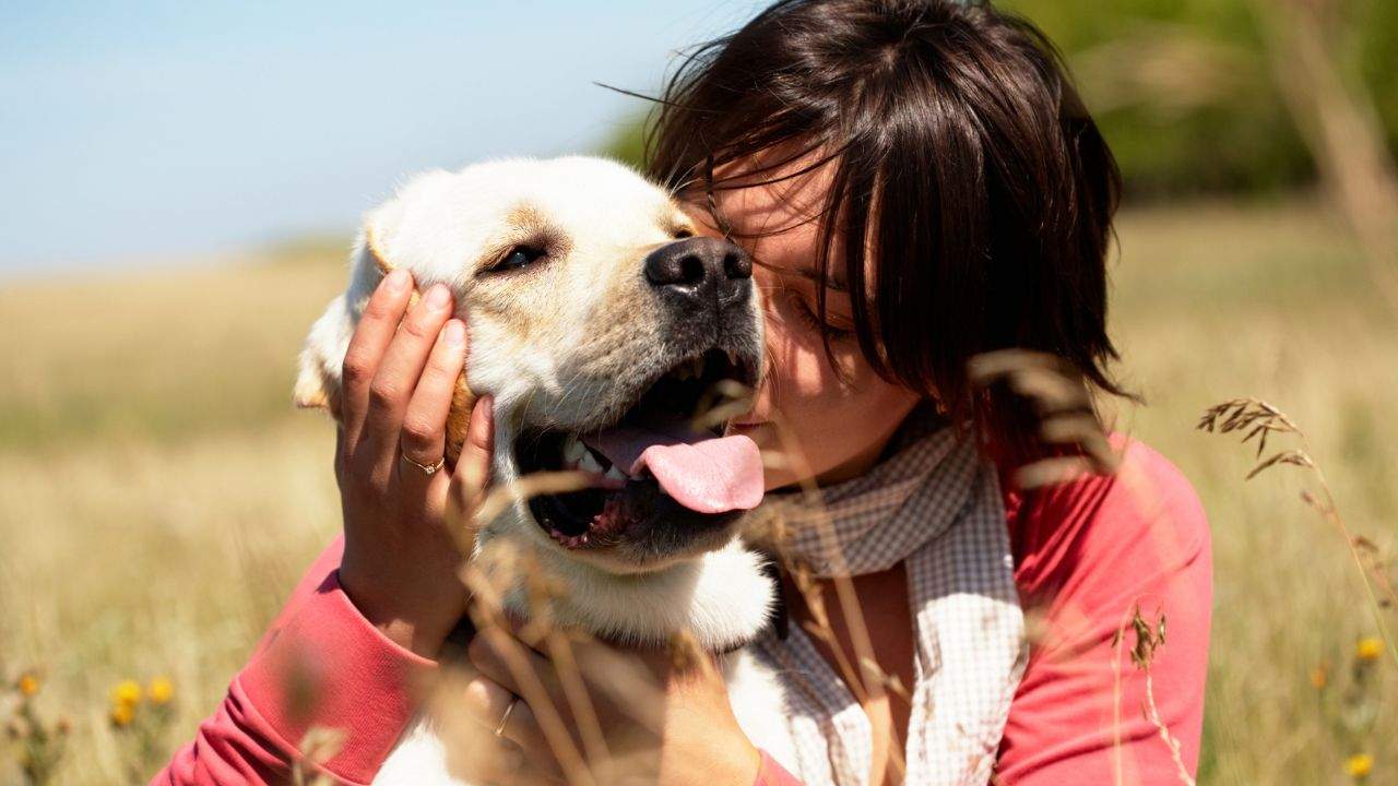 antistress per tutti