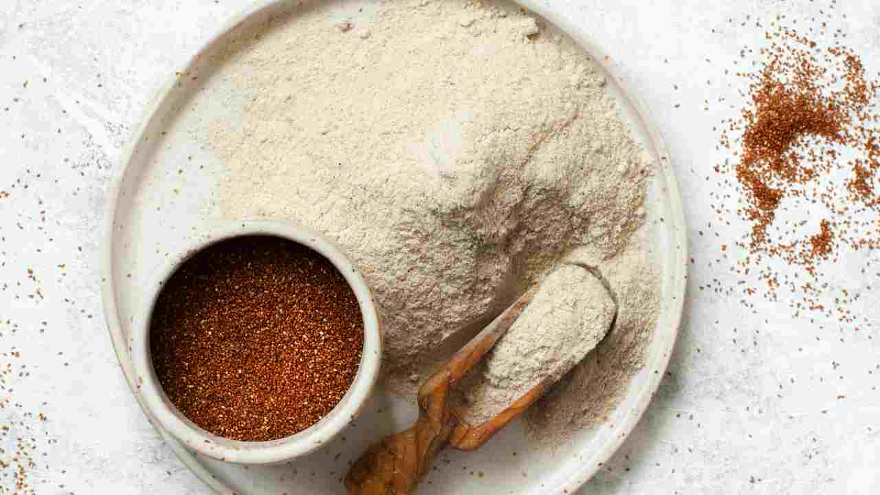 farina di teff cos'è ricette