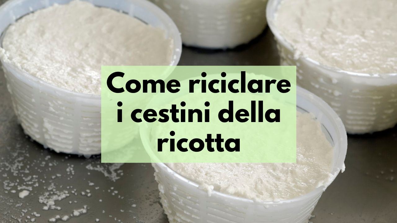 riciclo cestini ricotta