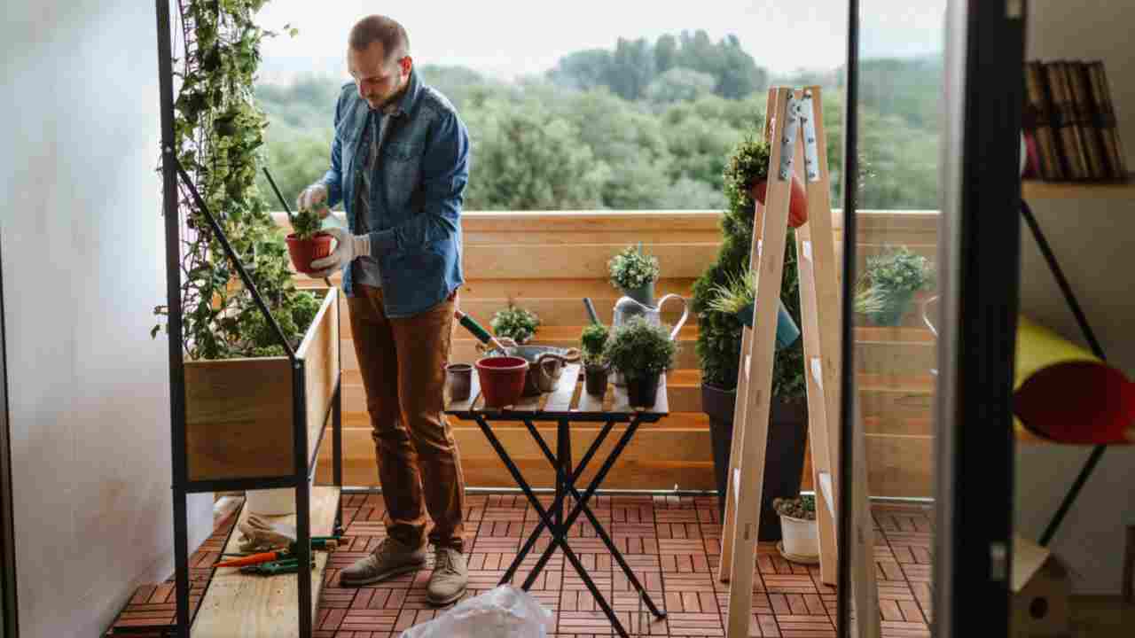 quali vasi mettere sul balcone piante scelta