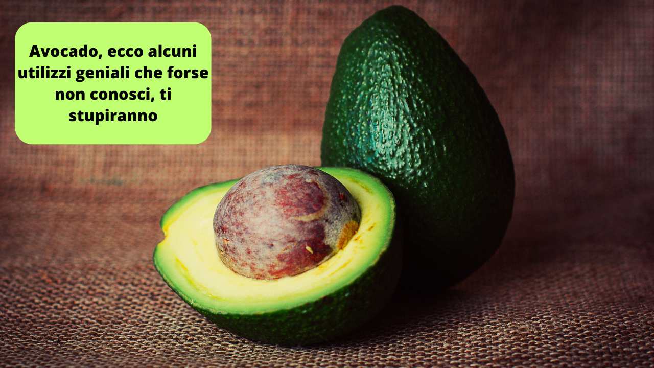 Avocado utilizzi geniali