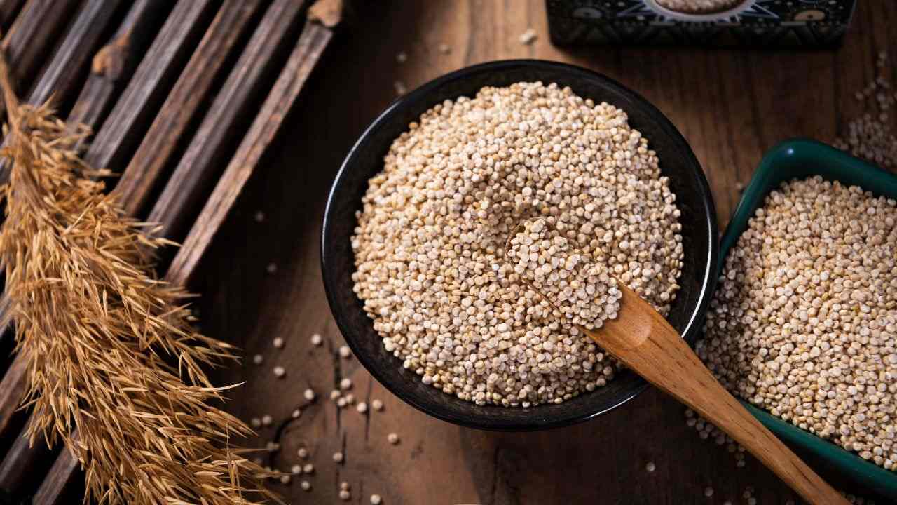 quinoa superfood benefici corpo