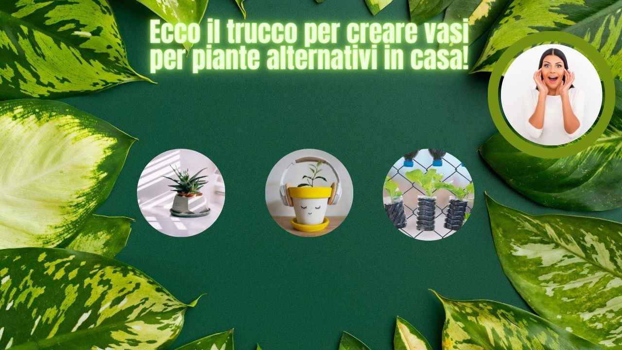 vasi riciclo salute ambiente