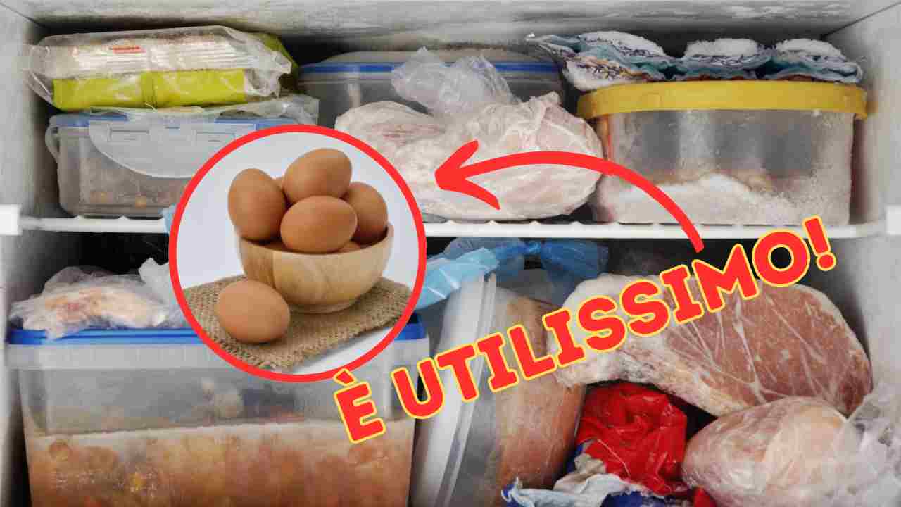 Cosa cucinare con le uova in freezer