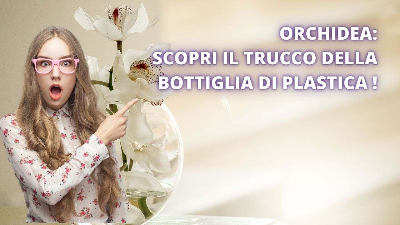 trucco bottiglia orchidea