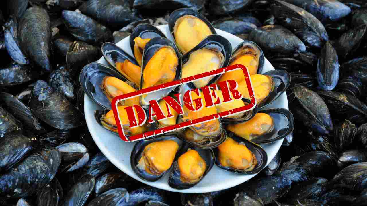 Mangiare cozze crude, quali sono le conseguenze