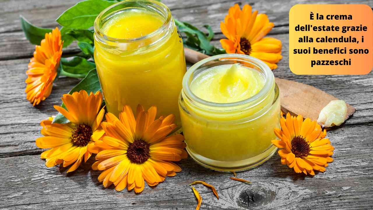 Crema estate calendula benefici