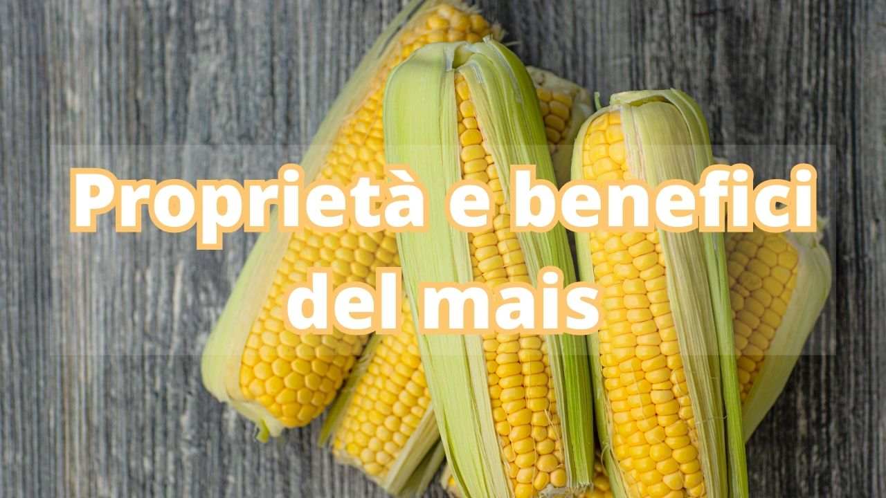 benefici mais