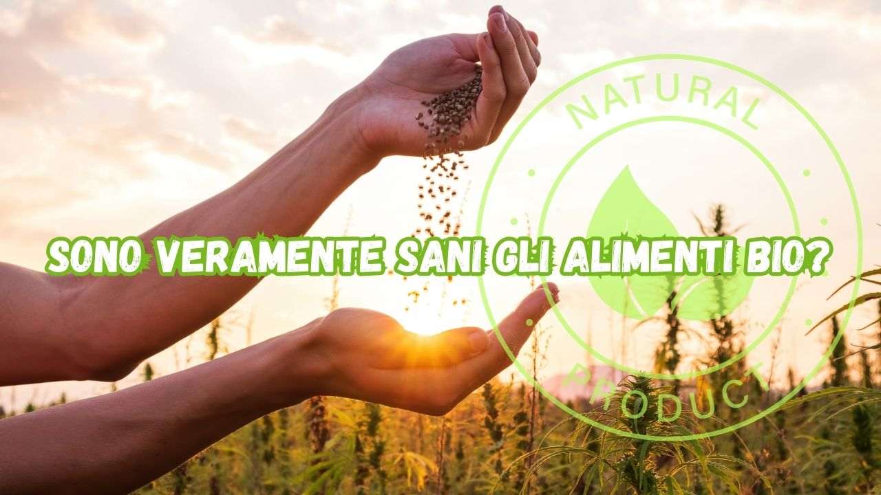 sono veramente sani alimenti bio