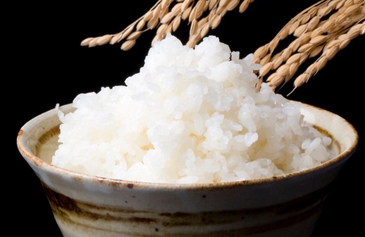 I pro e i contro del riso in bianco