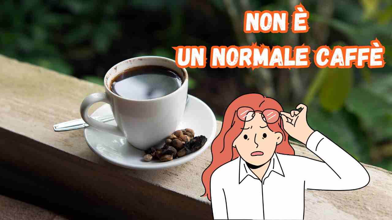 Qual è il caffè più costo del mondo e che sapore ha