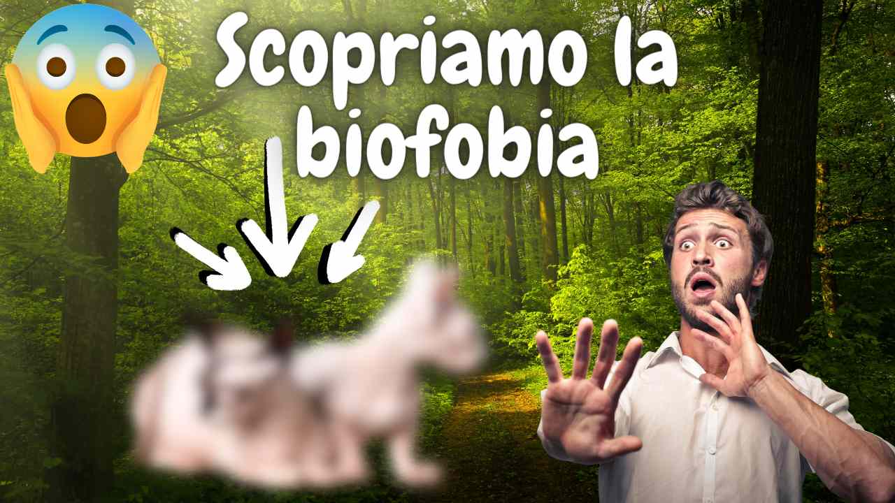 biofobia cause