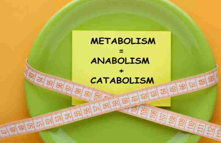 Metabolismo lento, come fare, cosa fare, fattori che lo influenzano 