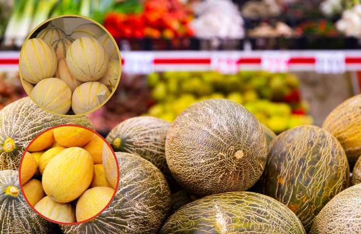 Varietà di melone al supermercato