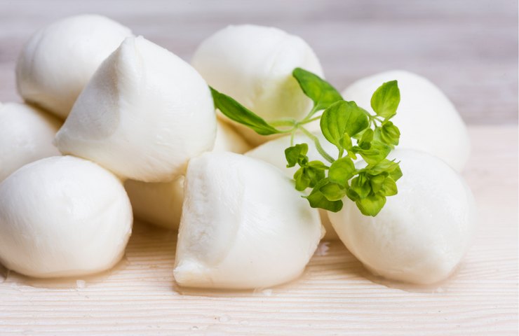 bocconcini mozzarella