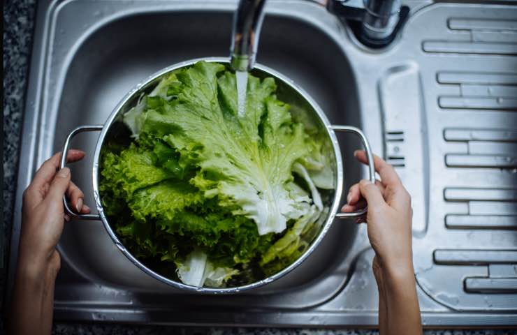 La ricetta più originale con la lattuga