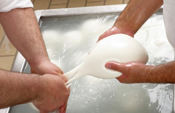 preparazione della mozzarella 