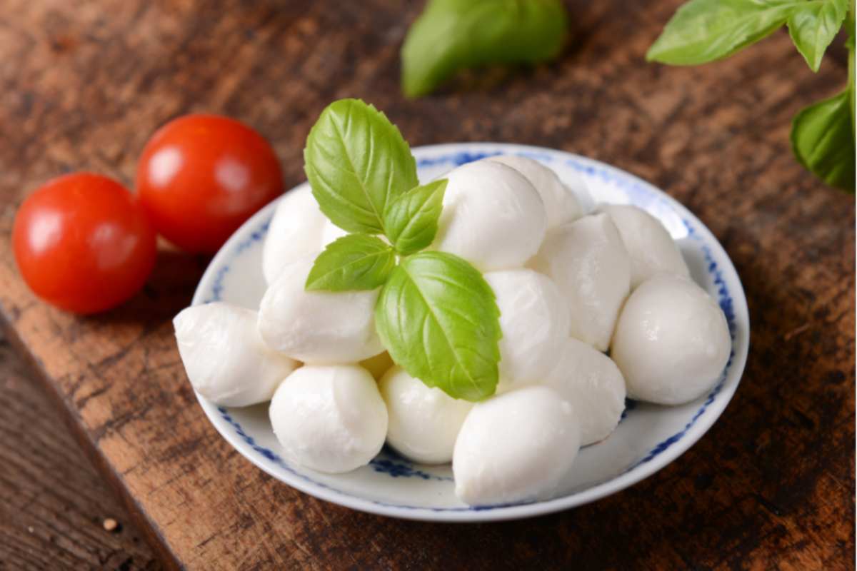 Mozzarella impiattata