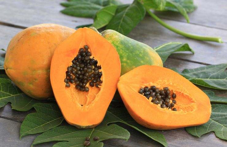 frutto papaya