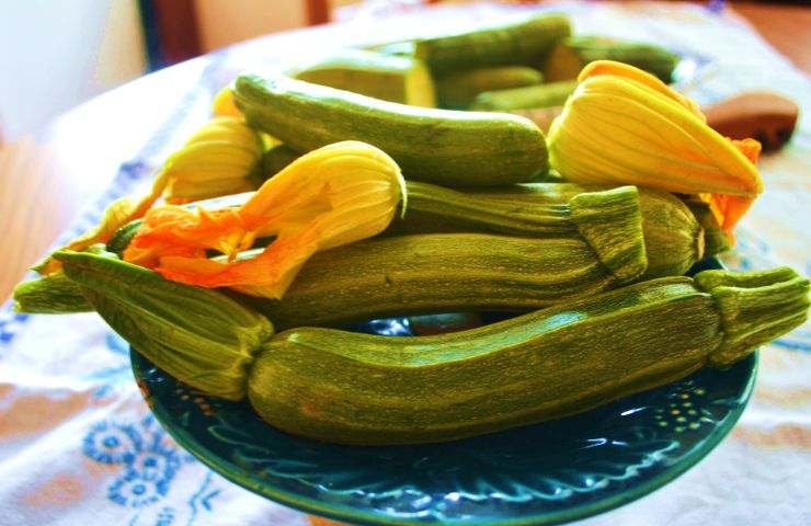 mangiare zucchine incinta