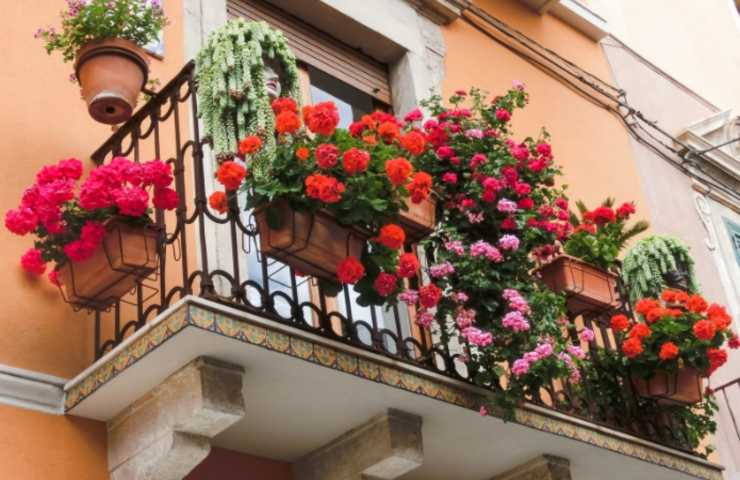 Balcone con fiori 