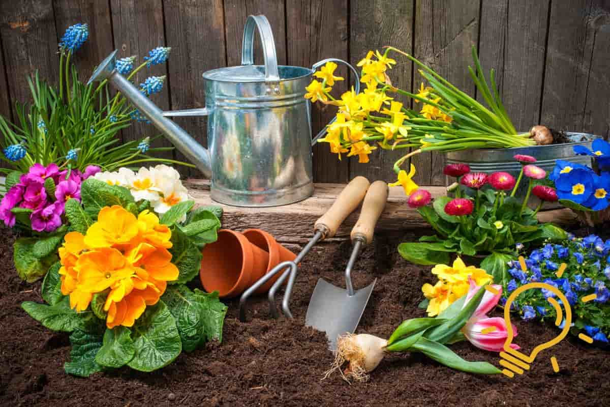 Attrezzi da giardino con dei fiori