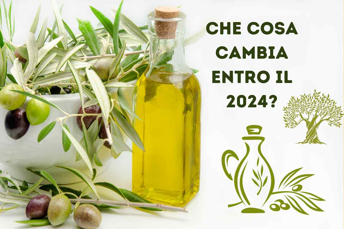 cosa cambia nell'olio